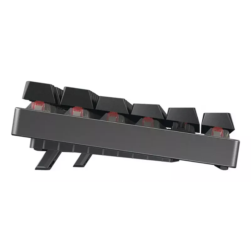 CHERRY MX 8.2 TKL Wireless RGB tastatūra Gaming USB + RF Wireless + Bluetooth QWERTZ Vācu Melna