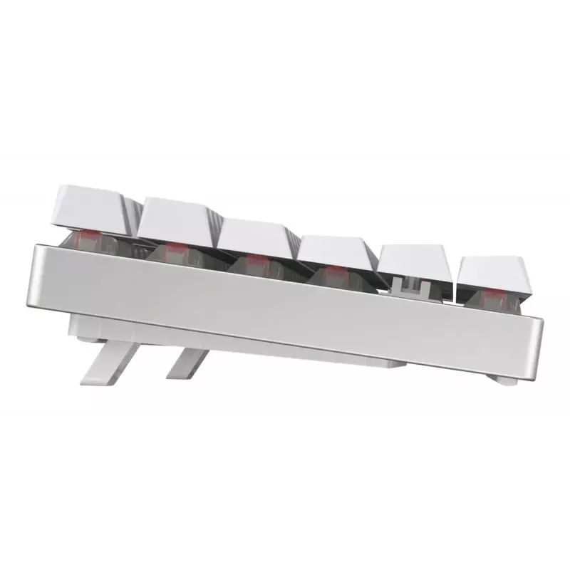 CHERRY MX 8.2 TKL Wireless RGB tastatūra Gaming USB + RF Wireless + Bluetooth QWERTZ Vācu Balta