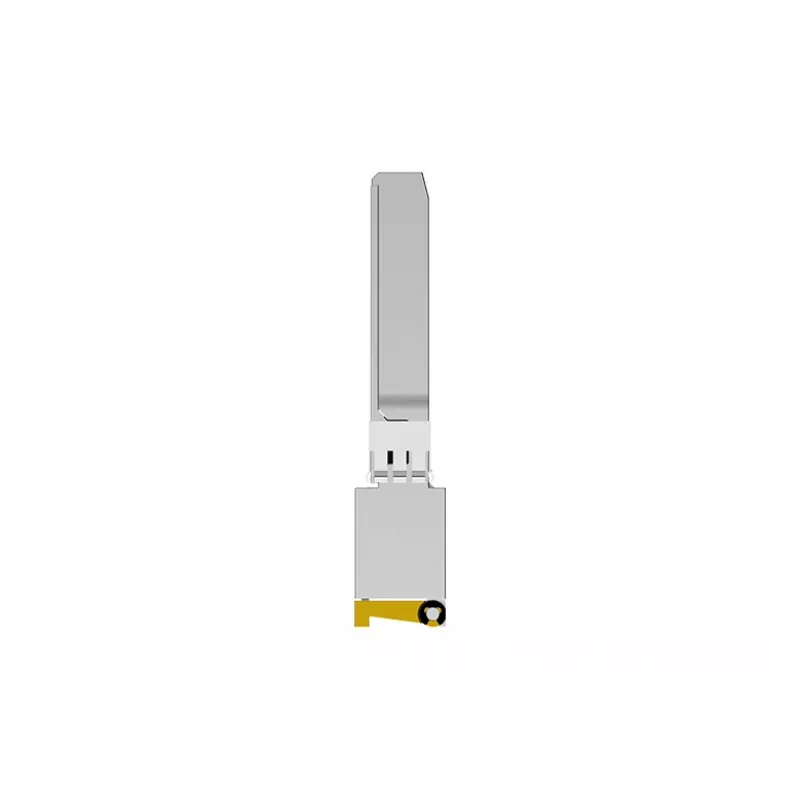 NETGEAR AXM765-20000S tīkla raiduztvērēja modulis Šķiedru optika 10000 Mbit/s SFP+