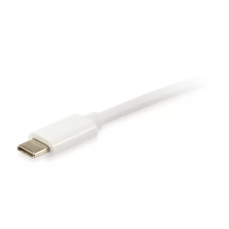 Equip Platinum USB Type C kabelis, 2 m, USB C, USB C, USB 3.2 Gen 2 (3.1 Gen 2), 10 Gbit/s, Balts