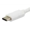 Equip Platinum USB Type C kabelis, 2 m, USB C, USB C, USB 3.2 Gen 2 (3.1 Gen 2), 10 Gbit/s, Balts