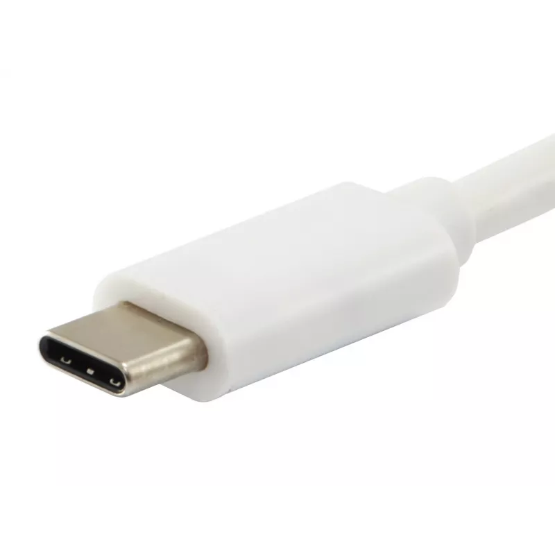 Equip Platinum USB Type C kabelis, 2 m, USB C, USB C, USB 3.2 Gen 2 (3.1 Gen 2), 10 Gbit/s, Balts