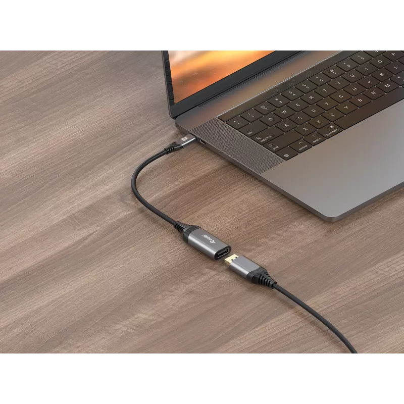Equip USB-C uz DisplayPort 1.4 adapteris 8K 30Hz 0,15m