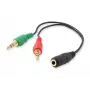 Equip Audio sadalītāja kabelis, melns, 3,5 mm, 2 x 3,5 mm, sievišķais, vīrišķais, polivinilhlorīds (PVC)