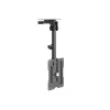 Equip 23 collu-55 collu griestu stiprinājuma kronšteins televizoram, 75 x 75 mm, 400 x 400 mm, 0 - 80°, -45 - 45°, nerūsējošais tērauds, melns