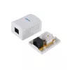 1-Port Cat.6 Surface Mount Box Equip 235213