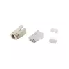 Equip Cat.6A RJ45 Spraudņu komplekts 100gab. Caurspīdīgi balti