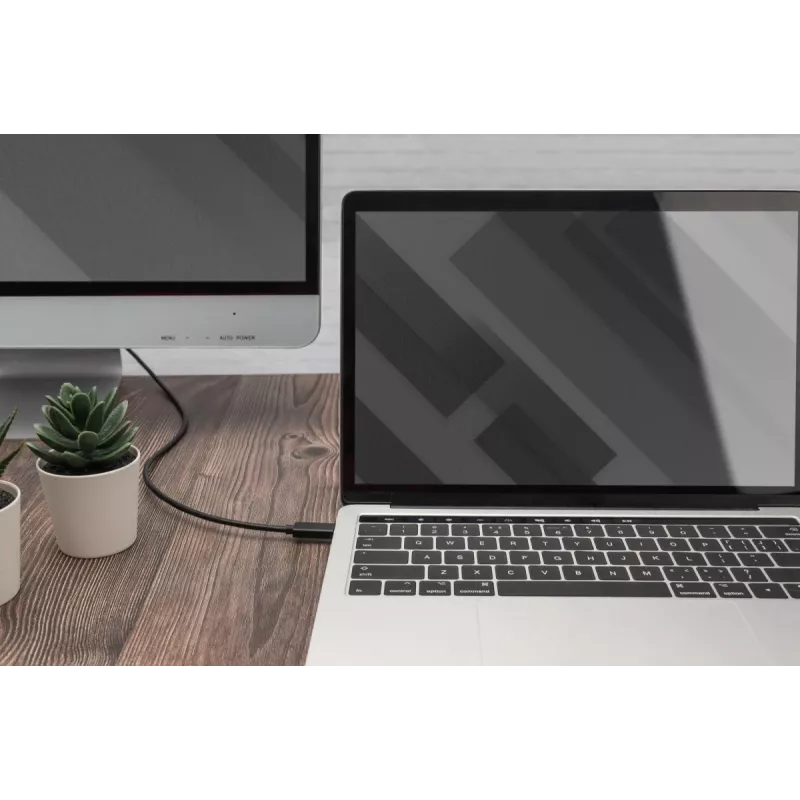 DIGITUS USB Type-C Gen2 uz HDMI-A adaptera kabelis - 2m