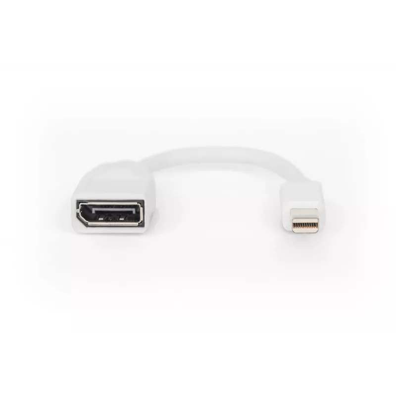 DIGITUS DisplayPort adaptera kabelis, mini DP - DP M/F, 0,15m, DP 1.2 atbilstošs, balts