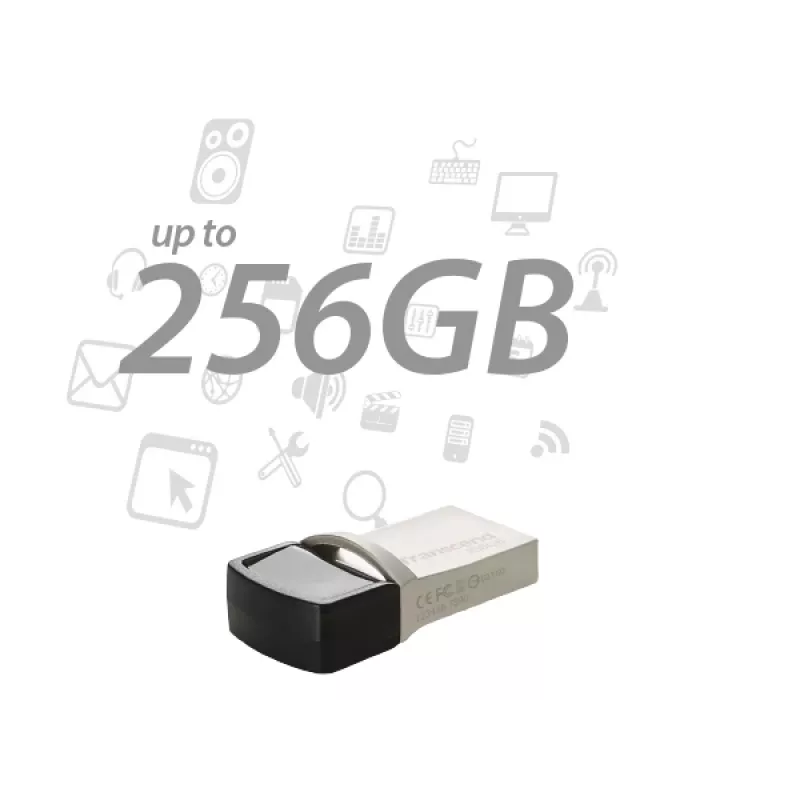 TRANSCEND Jetflash 890 - 256GB USB zibatmiņa - USB 3.1 / C tips