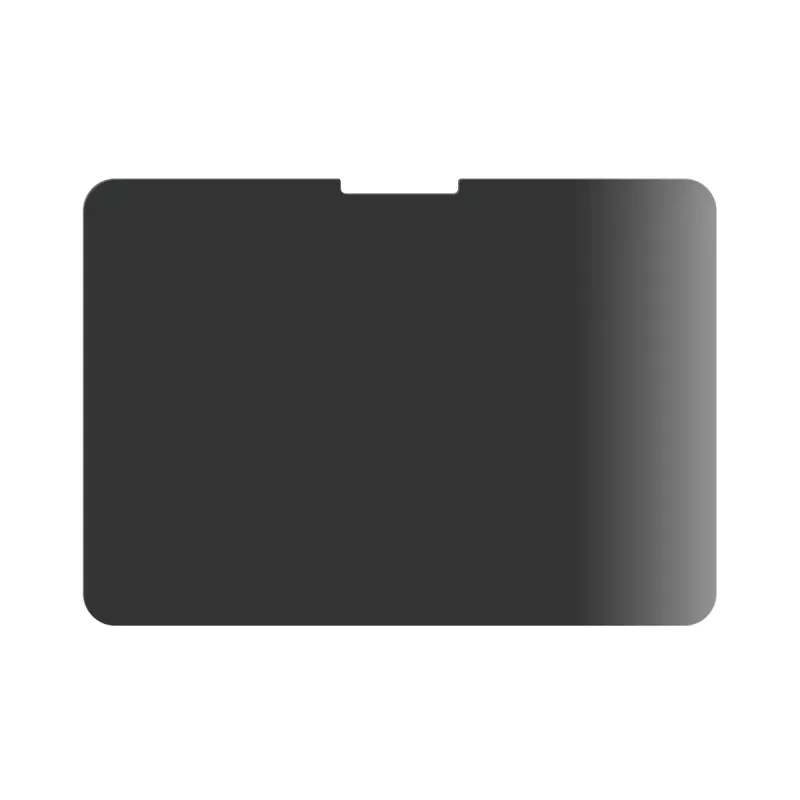 PanzerGlass ® Privātuma ekrāna aizsargs ® iPad Pro 11 inch (2024-2025) | Īpaši platais pieguļums