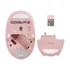 ASUS Fragrance MD101 pele Mājas Piemērota abām rokām RF Wireless + Bluetooth Optiskā 2400 DPI