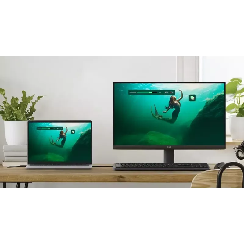 DELL SE2425HM datora monitors 60,5 cm (23,8 colli) 1920 x 1080 pikseļi Full HD LCD Melns