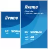 iiyama LH6581UHSG-1AG Signage Display digitālā reklāmas plakanā paneļa displejs, 163,8 cm (64,5 collas), Wi-Fi, 500 cd/m², 4K Ultra HD, balts, Iebūvēts procesors, Android, 24/7