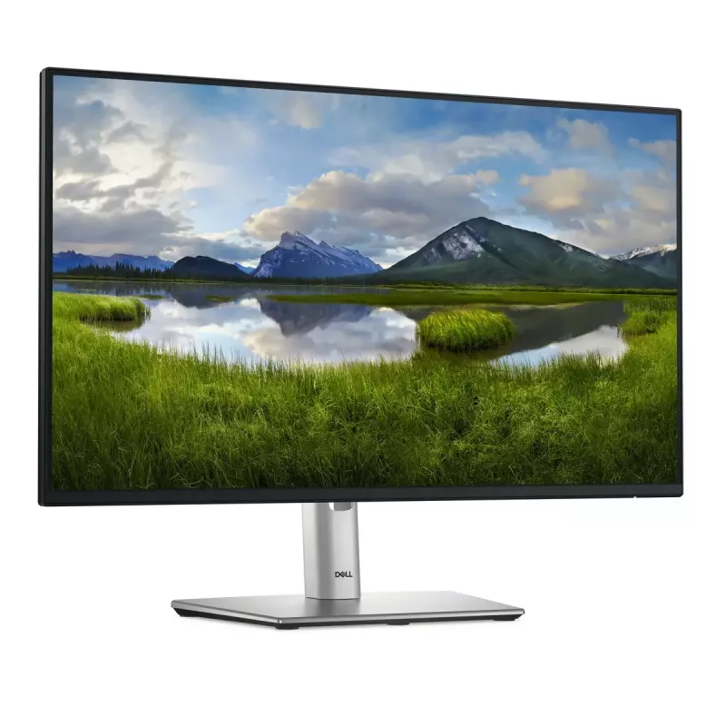 DELL Pro Plus P2425HE datora monitors 60,5 cm (23,8 colli) 1920 x 1080 pikseļi Full HD LCD Melns
