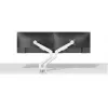 Neomounts DS70-250WH2 Monitora kronšteins 17-32 collas - gāzes atspere - Topfix - 180° aizture