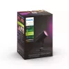 Philips Hue balta and colour ambience Lily Outdoor prožektors