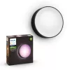 Āra sienas apgaismojums Philips Hue balta and colour ambience Daylo