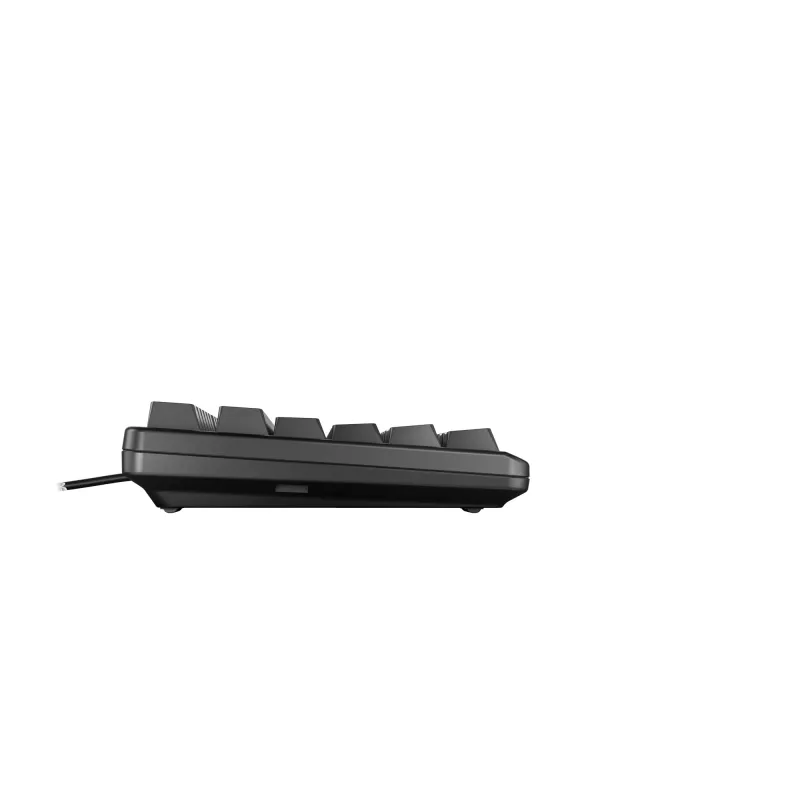 CHERRY G80-3000N RGB TKL tastatūra Universāla USB QWERTZ Vācu Melna