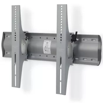 ERGOTRON Tm Noliecams sienas stiprinājums (sudraba) (61-142-003)