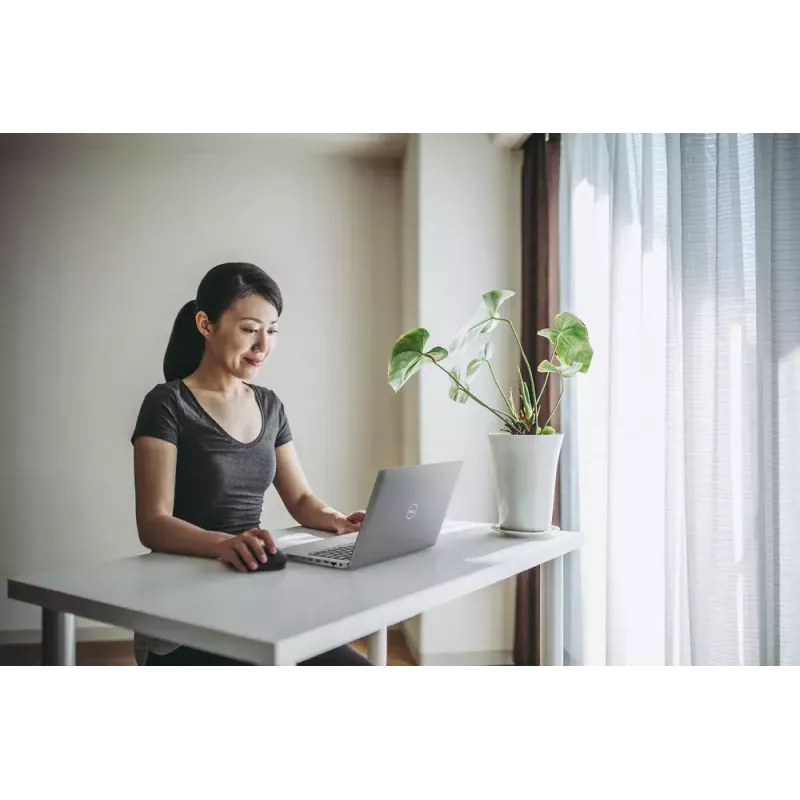 pele Dell MS300 Full-Size Wireless