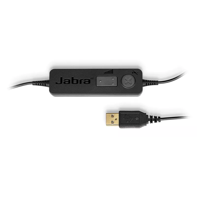 Austiņas Jabra BIZ 1100 EDU DUO USB
