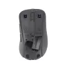 ASUS Wireless MD102 pele Universāla labās rokas RF bezvadu + Bluetooth optiskā 1600 DPI