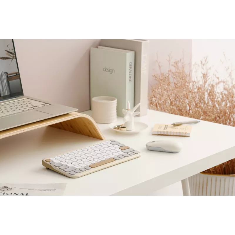 ASUS Marshmallow KW100 bezvadu Bluetooth QWERTZ tastatūra bēšā, pelēkā, baltā krāsā