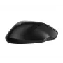 HP 255 Dual Wireless Mouse, Ambidextrous, Optical, RF Wireless + Bluetooth, 1600 DPI, Black