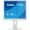 iiyama ProLite B1980S-W1 datora monitors 48.3 cm (19 collas) 1280 x 1024 pikseļi SVGA LED Balts