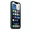 Apple Silicone vāciņš iPhone 16e Lake zaļa