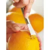 WMF 1871436030 Profi Plus citronu rīve, nerūsējošais tērauds, piekarināšanas caurums, 1 gab.