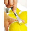 WMF 1871436030 Profi Plus citronu rīve, nerūsējošais tērauds, piekarināšanas caurums, 1 gab.