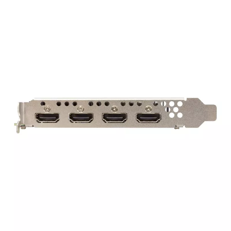 Grafikas karte Sparkle Intel Arc A310 OMNI View — 4 GB GDDR6, 2000 MHz, PCIe 4.0 x8