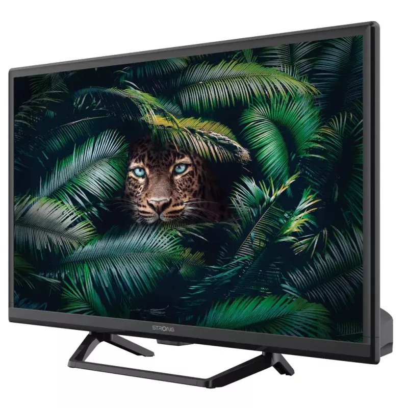 Televizors Strong SRT 24HE4023C 24 collu HD LCD 1366 x 768