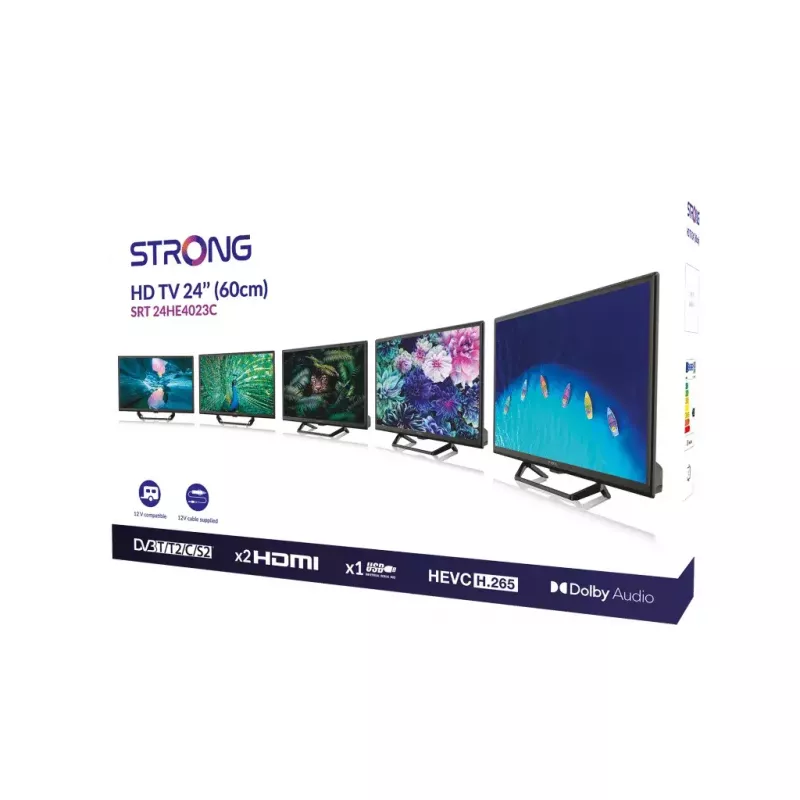 Televizors Strong SRT 24HE4023C 24 collu HD LCD 1366 x 768
