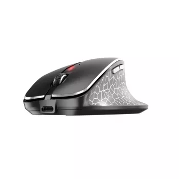 CHERRY MW 8C ERGO pele labai rokai RF bezvadu + Bluetooth optiskā 3000 DPI