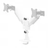 Neomounts DS65S-950WH2 Monitora roka 24-34 collas - gāzes atspere - Topfix - daudzregulējama - 180°-stop