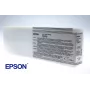 Epson Singlepack Light Light Melns T591900, Gaiši gaiši melna, Pigmenta tinte, 700 ml, 1 gab.