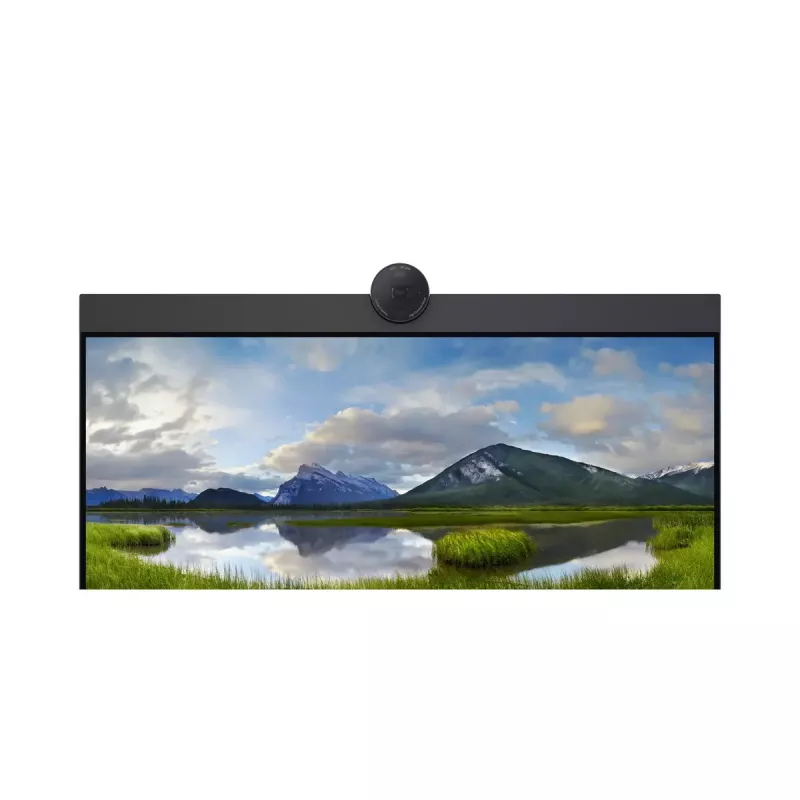 DELL P2424HEB 60.5 cm (23.8 collas) LCD 1920 x 1080 pikseļi Full HD