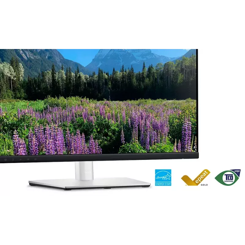 DELL P2424HEB 60.5 cm (23.8 collas) LCD 1920 x 1080 pikseļi Full HD