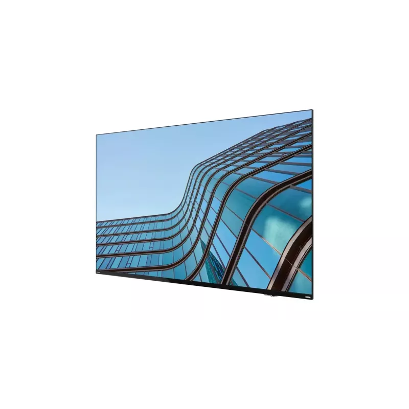 Lenovo ThinkVision E55 LFD datora monitors 138,7 cm (54,6 collas) 3840 x 2160 pikseļi 4K Ultra HD IPS Melns