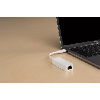 D-Link USB-C uz Gigabit Ethernet adapteris, vadu, USB Type-C, Ethernet, 1000 Mbit/s, balts