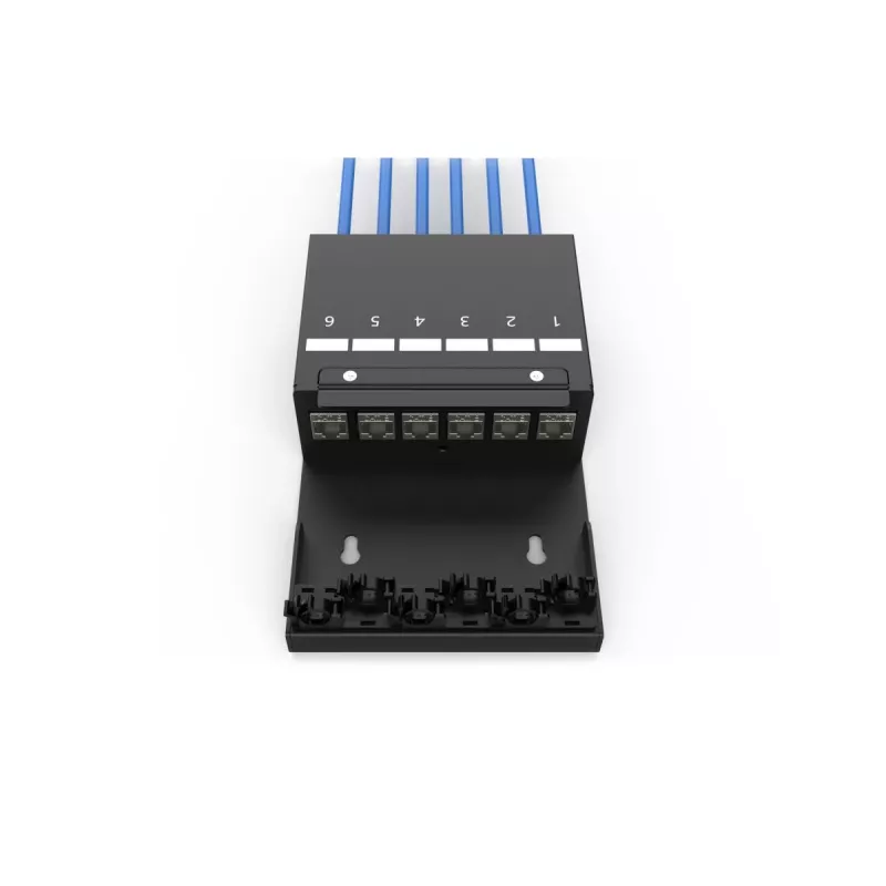 DIGITUS Consolidation Point Box - 6 ports Keystone moduļi ar viedo kabeļu pārvaldību