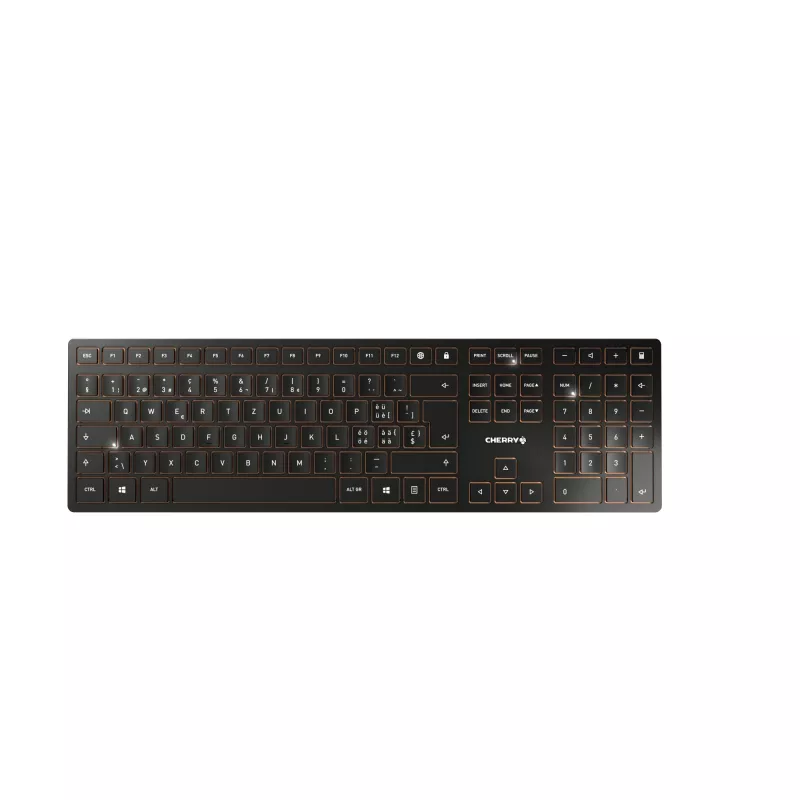 CHERRY DW 9100 SLIM tastatūra un pele komplektā Universāls RF bezvadu + Bluetooth QWERTZ Šveices Melns