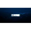 Kingston Technology 960G DC2000B PCIe 4.0 M.2 2280 Enterprise SSD