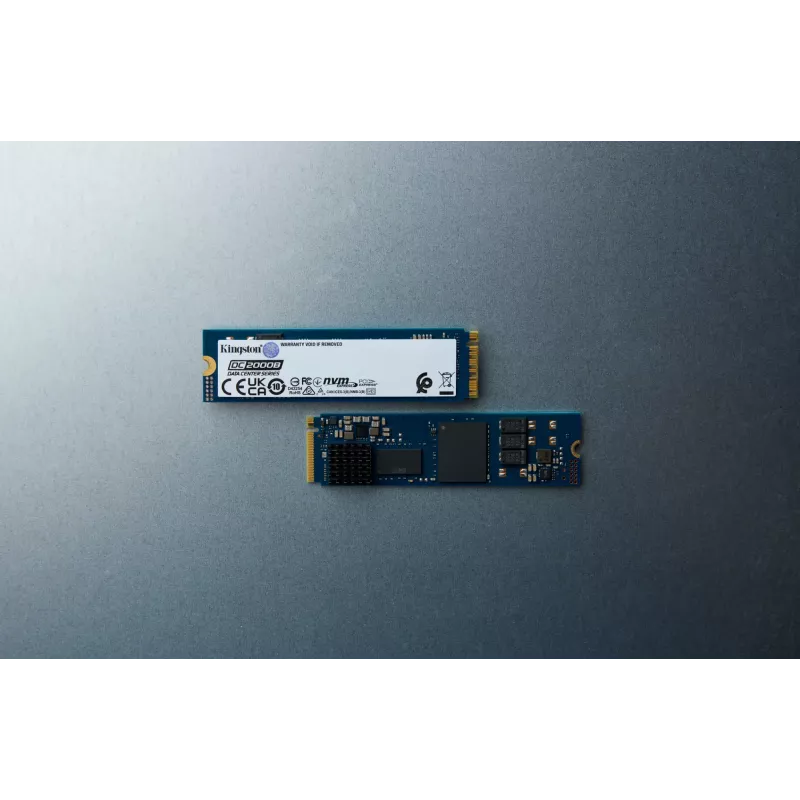 Kingston Technology 480G DC2000B PCIe 4.0 M.2 2280 Enterprise SSD