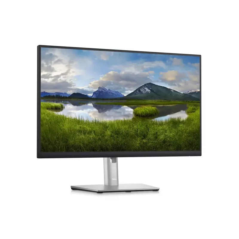 Monitors DELL P2423D 23.8 collu LCD Quad HD 2560 x 1440