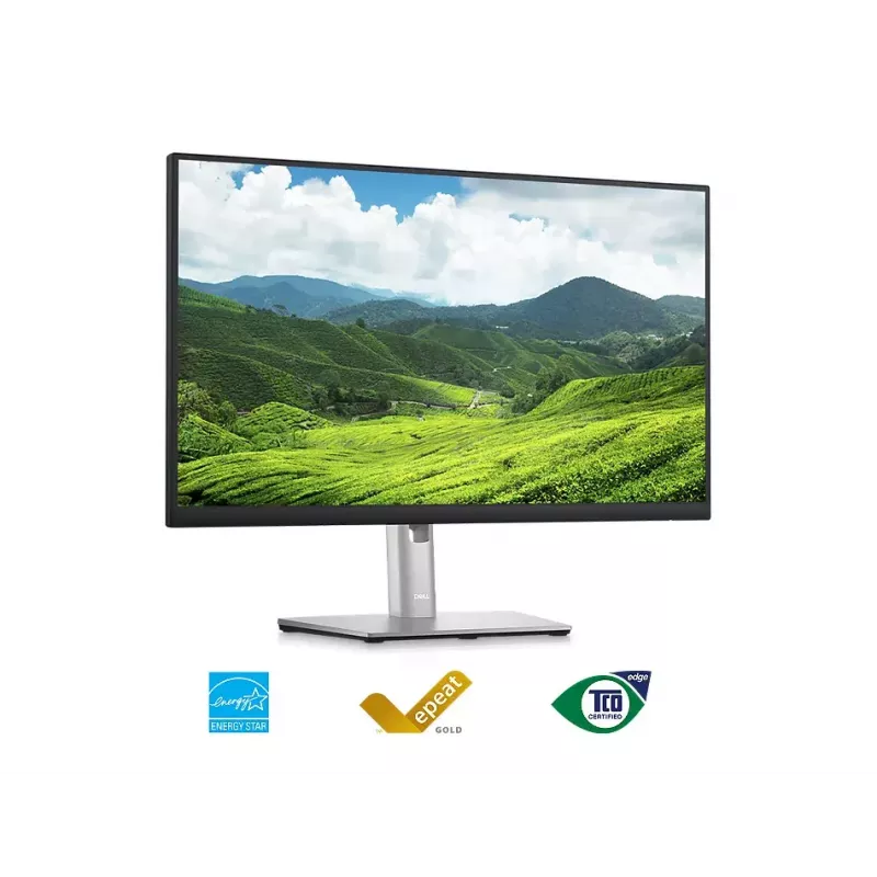 Monitors DELL P2423D 23.8 collu LCD Quad HD 2560 x 1440