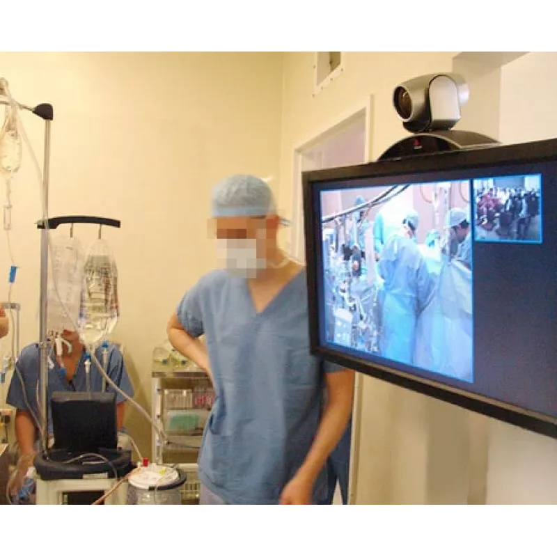 ERGOTRON Interactive Arm Hd (pulēts alumīnijs)
